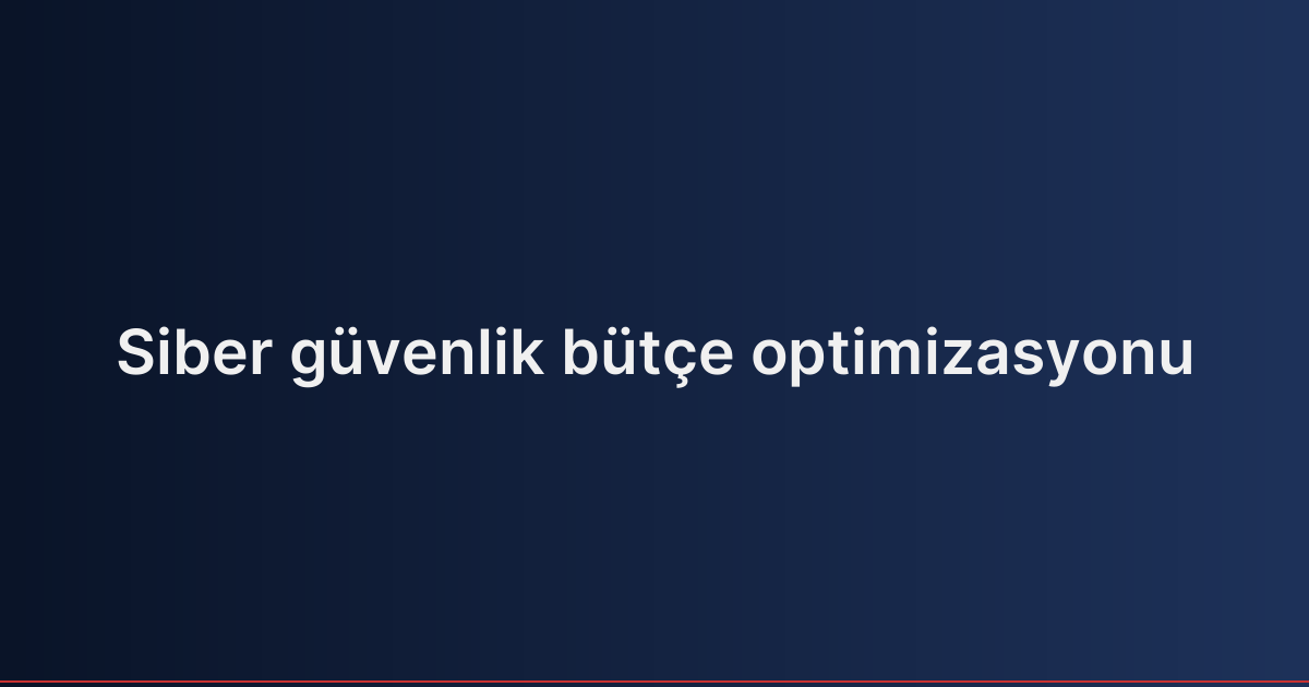 Siber güvenlik bütçe optimizasyonu