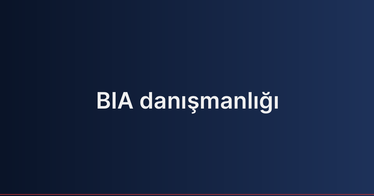 BIA danışmanlığı