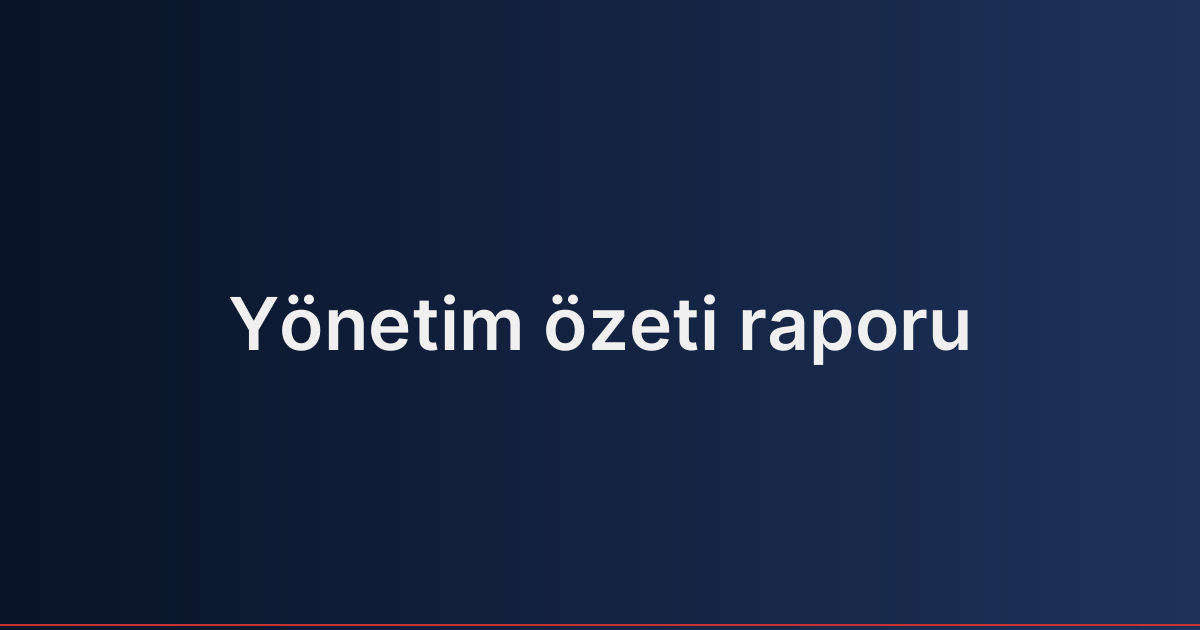 Yönetim özeti raporu