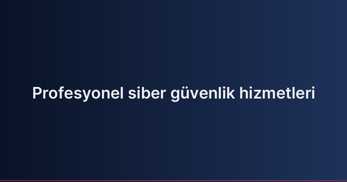 Profesyonel siber güvenlik hizmetleri